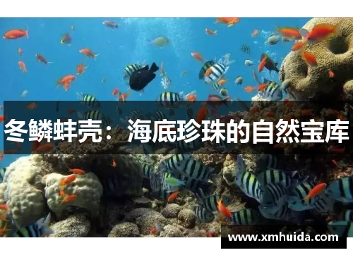 冬鳞蚌壳:海底珍珠的自然宝库 冬鳞蚌壳:海底珍珠的自然宝库